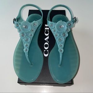 Coach Tea Rose Jelly Sandal in Marine